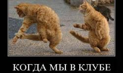 Когда мы в клубе