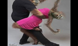 Танцы со звездами