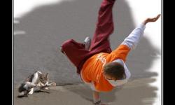 Так, Мурзик